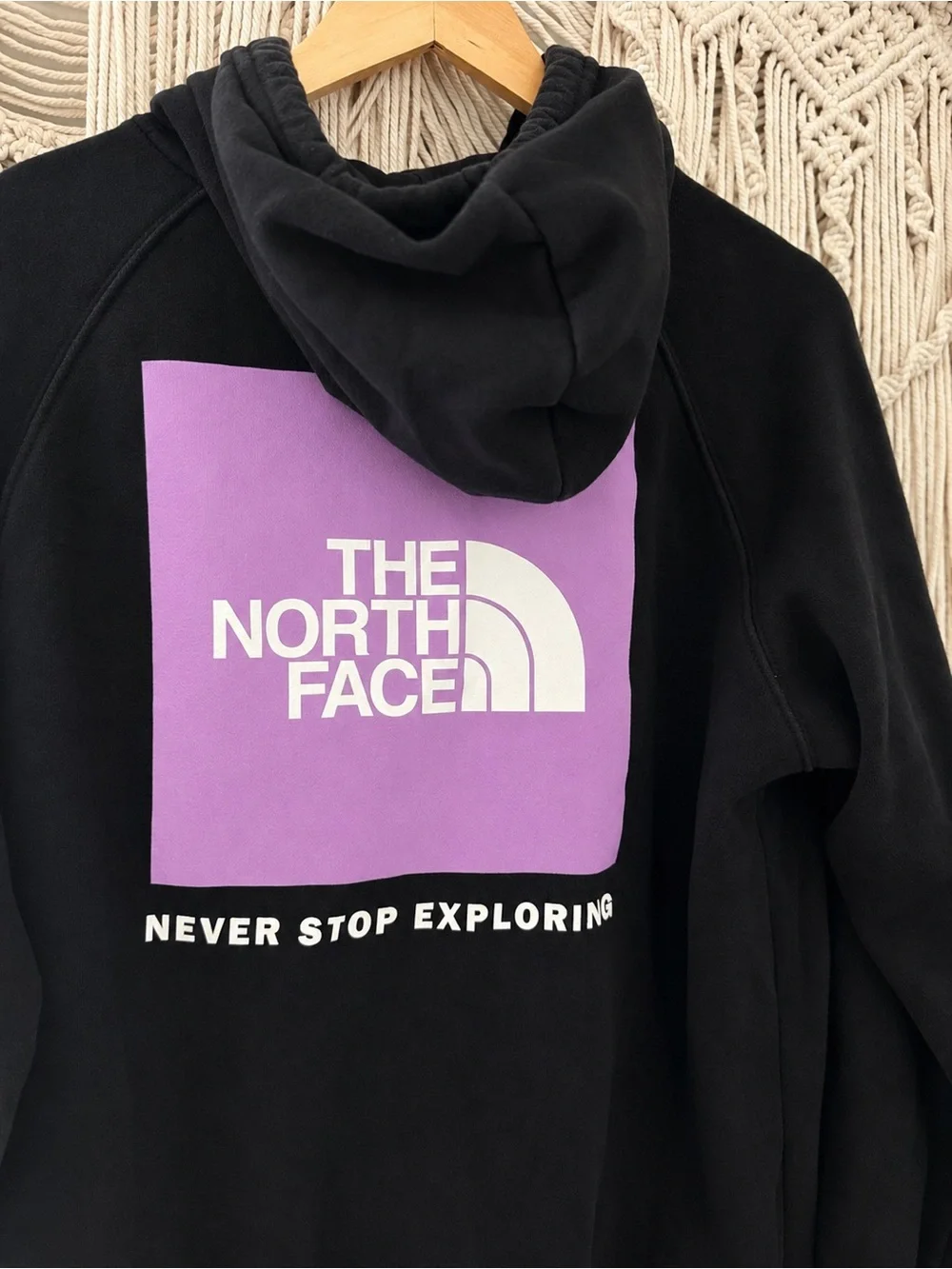 The North Face Black Logo Pullover Hoodie